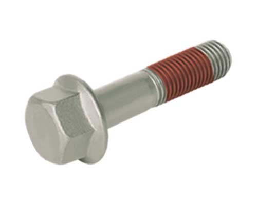 Eq 16 x 80 long differential screw